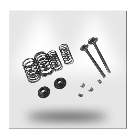 Valve Spring Kit